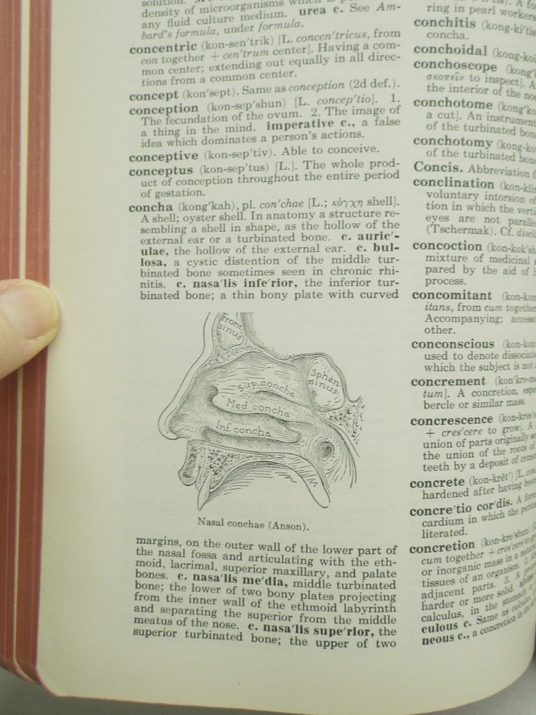 Image 2 of The American Illustrated Medical Dictionary  (22nd Edition)