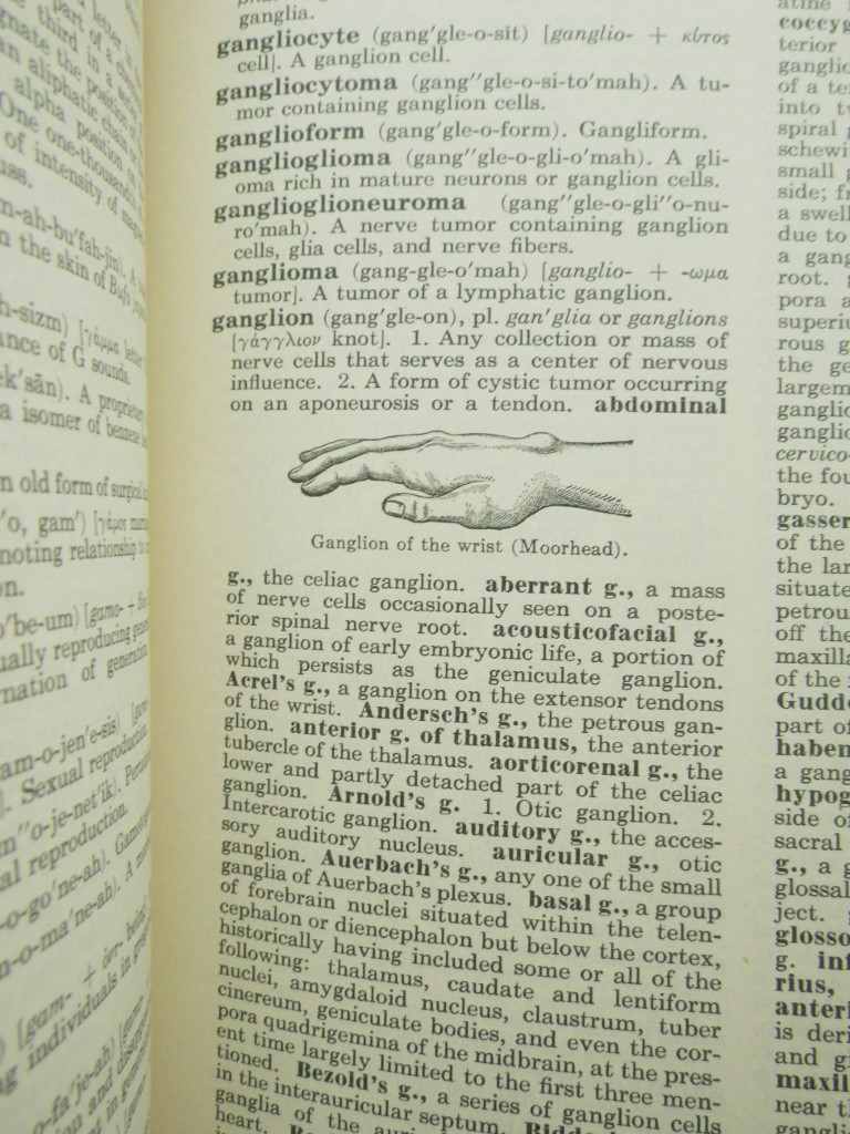 Image 3 of The American Illustrated Medical Dictionary  (22nd Edition)
