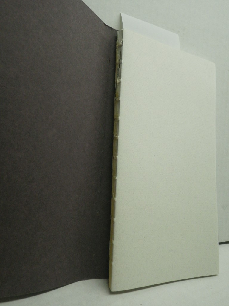 Image 1 of Leather Books: An Illustrated Handbook.