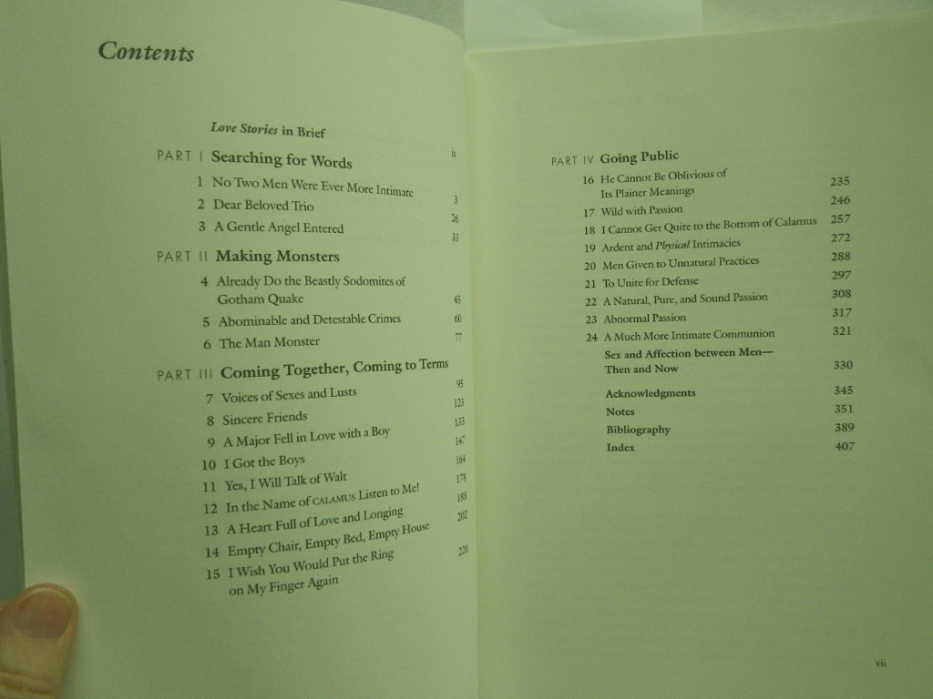 Image 2 of Love Stories: Sex between Men before Homosexuality