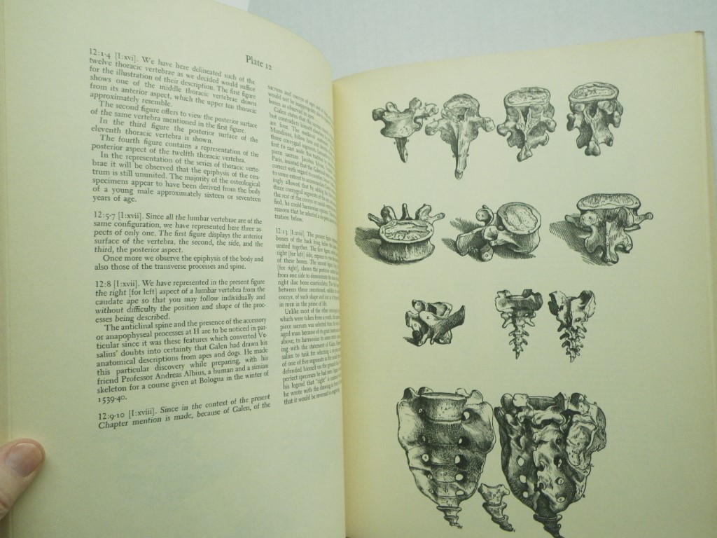 Image 3 of Visalius:  The Illustrations From His Works