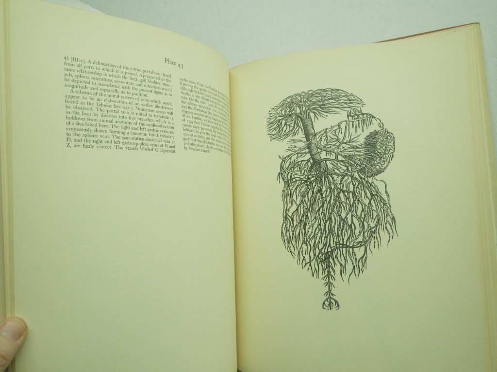 Image 4 of Visalius:  The Illustrations From His Works