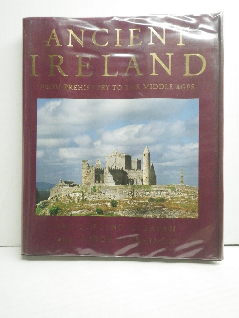 Ancient Ireland: From Prehistory to the Middle Ages