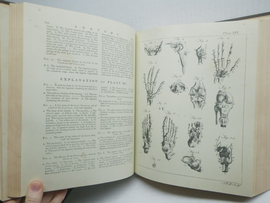 Image 3 of Encyclopaedia Britannica 1771 (3 Volume complete Facsimile)