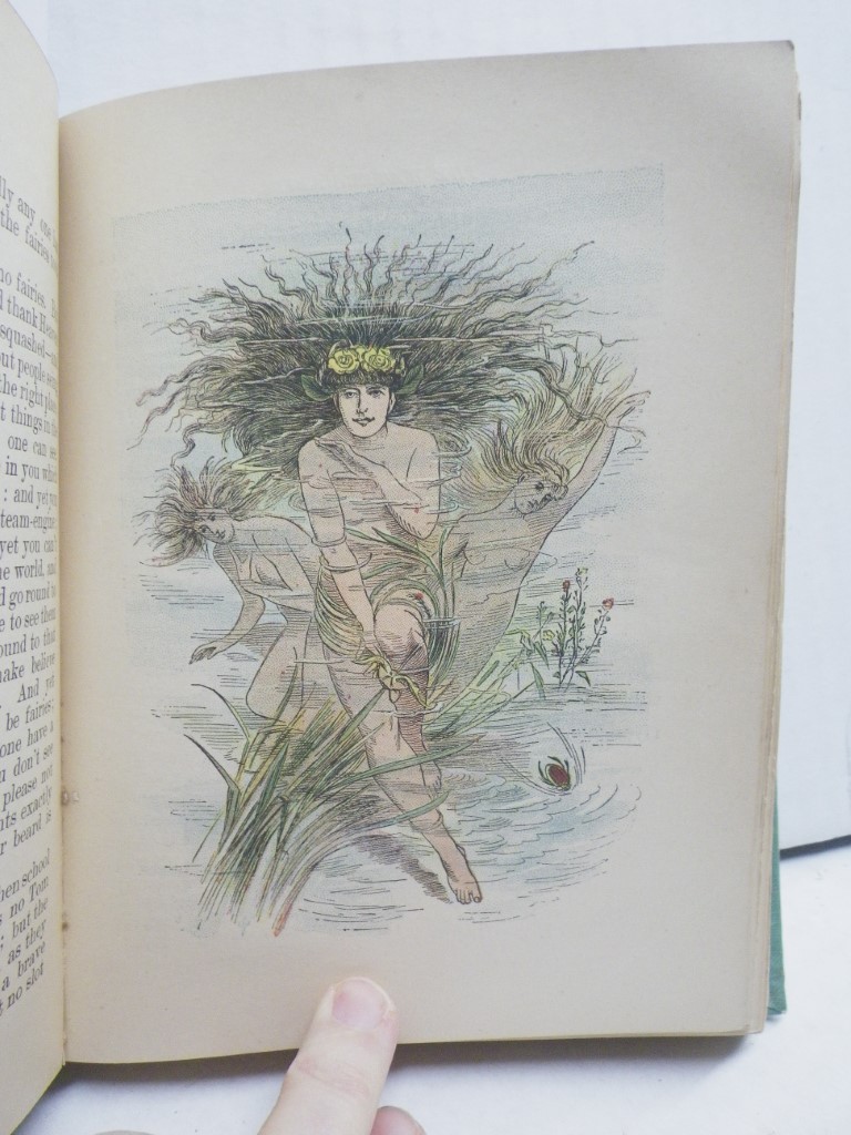 Image 2 of New Orleans Courtyards and Gardens