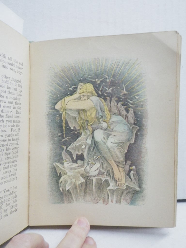 Image 3 of New Orleans Courtyards and Gardens