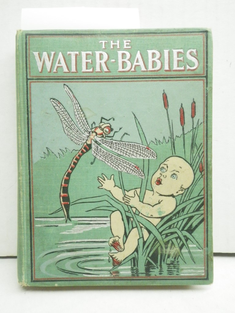 Image 0 of New Orleans Courtyards and Gardens