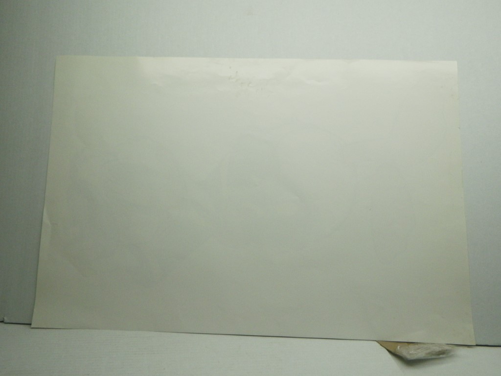 Image 4 of Vtg 1982 Donald Duck Poster 35x 23