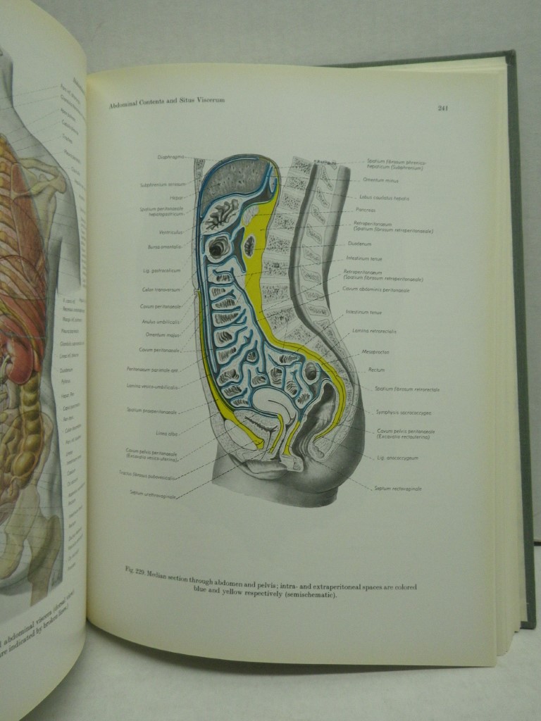 Image 4 of Atlas of Topographical and Applied Human Anatomy (Volume 2):  Thorax, Abdomen an