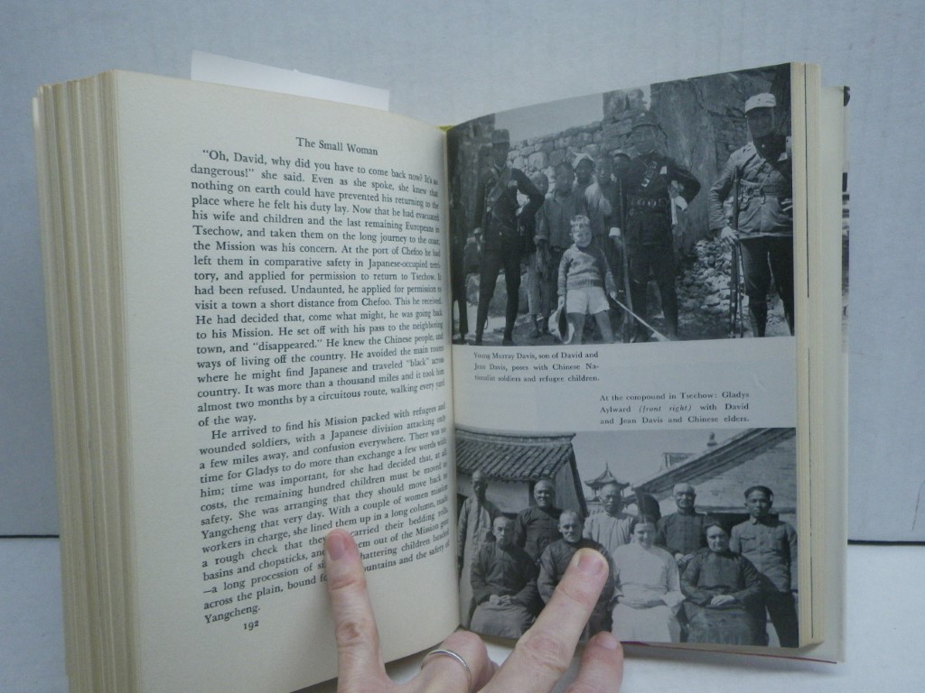 Image 3 of The Small Woman