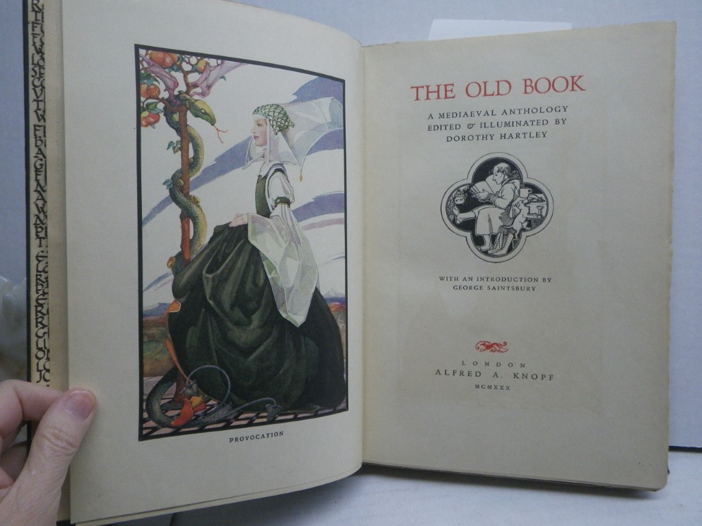 Image 1 of The Old Book