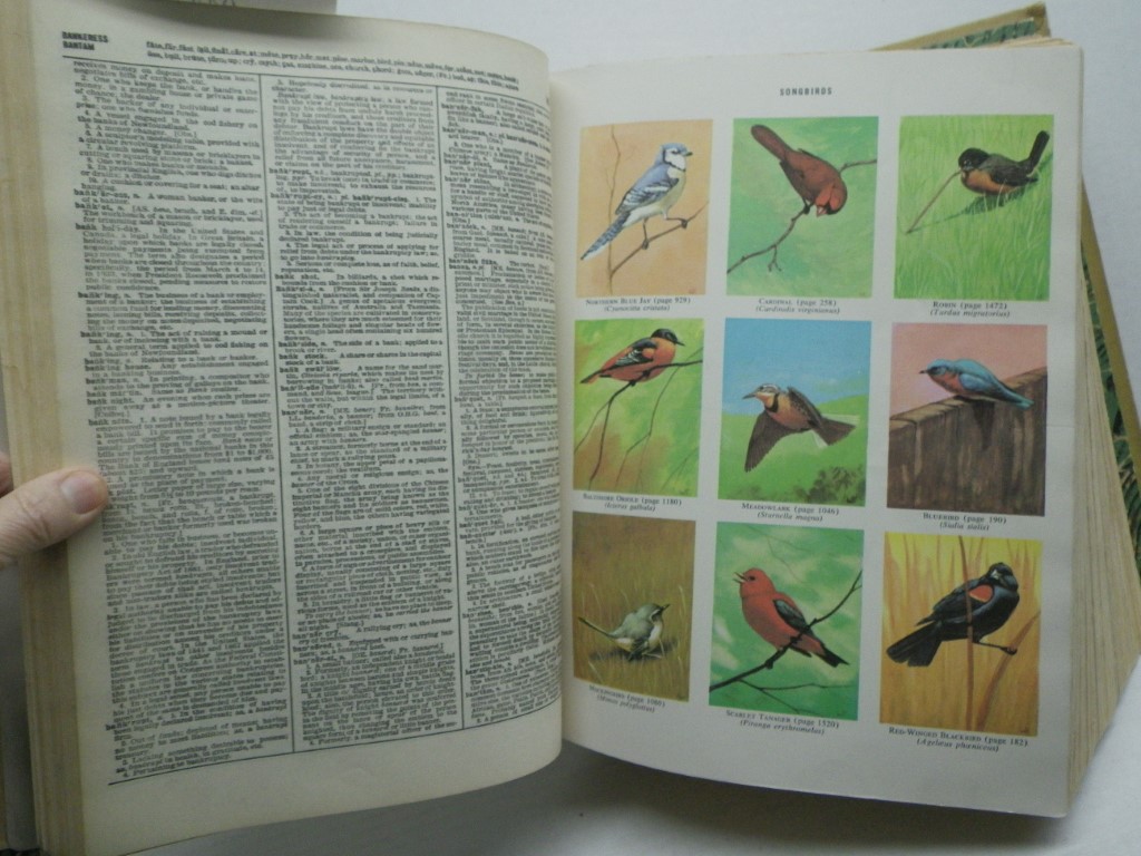 Image 4 of Webster's New Twentieth Century Dictionary of the English Language