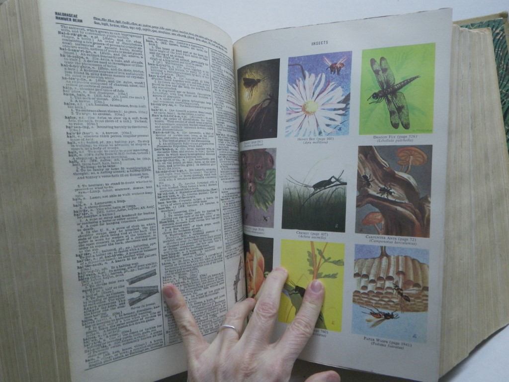 Image 5 of Webster's New Twentieth Century Dictionary of the English Language