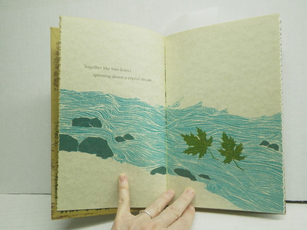 Image 2 of Together We Walk