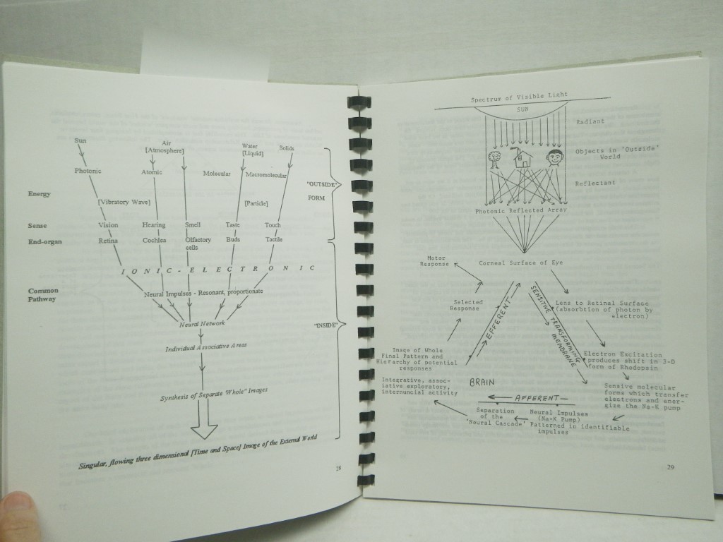 Image 2 of Man:  A Three Brained Being