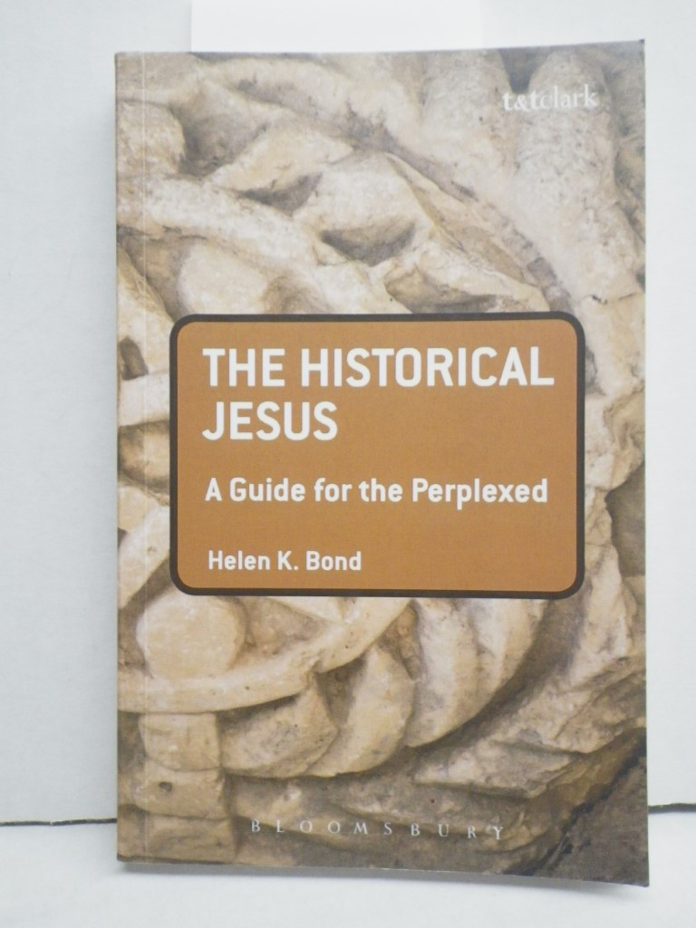 Image 0 of The Historical Jesus: A Guide for the Perplexed