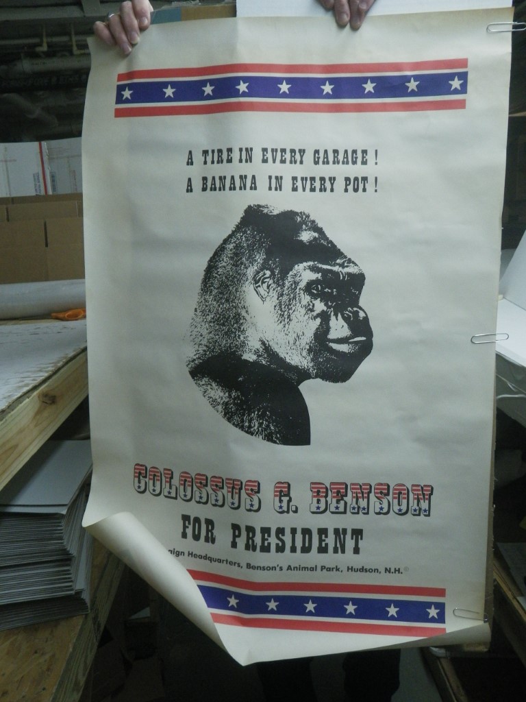 Image 1 of Colossus G Benson for President Poster, 23x34