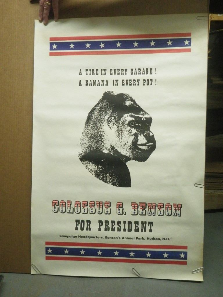 Image 0 of Colossus G Benson for President Poster, 23x34