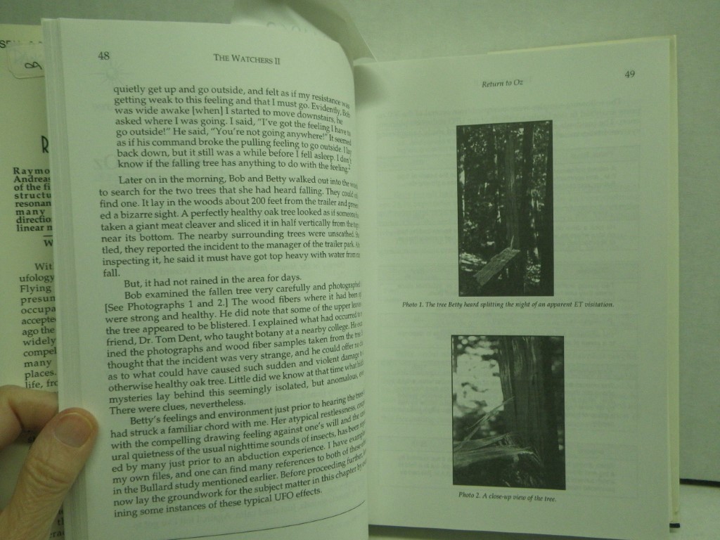 Image 4 of The Watchers II: Exploring Ufos and the Near-Death Experience