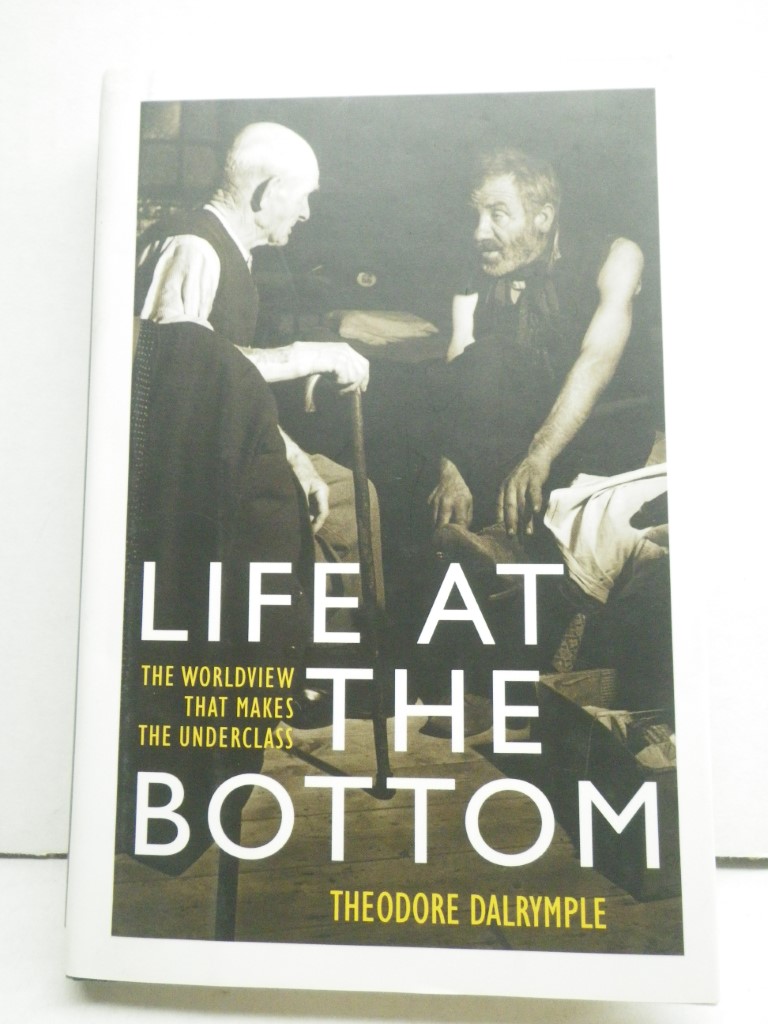 Image 0 of Life at the Bottom: The Worldview that Makes the Underclass