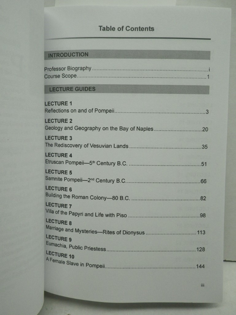 Image 2 of Pompeii: Daily Life in a Ancient Roman City – TRANSCRIPT book and Course Guide