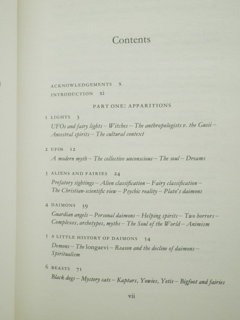 Image 3 of Daimonic Reality: A Field Guide to the Otherworld