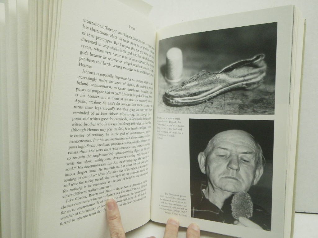 Image 4 of Daimonic Reality: A Field Guide to the Otherworld