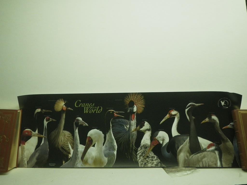 Cranes of the World Poster, 36x12", 2008
