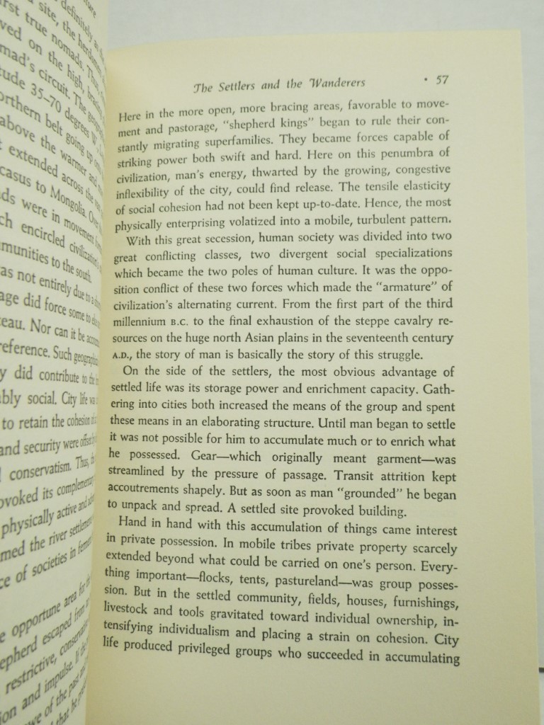 Image 3 of The Human Venture