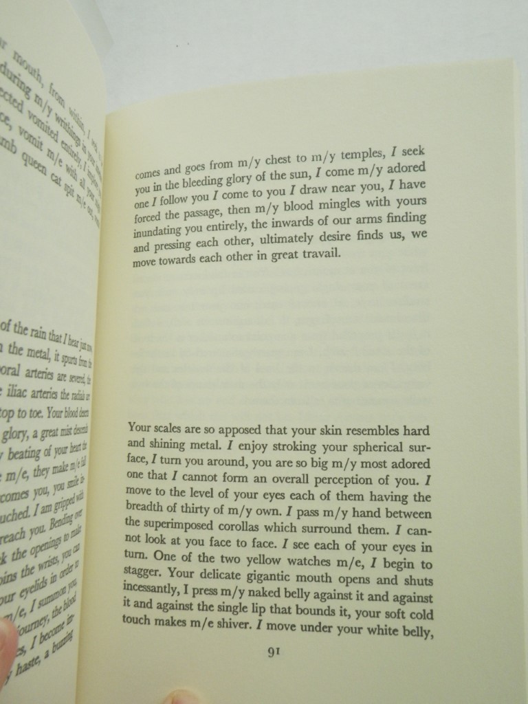Image 3 of The lesbian body