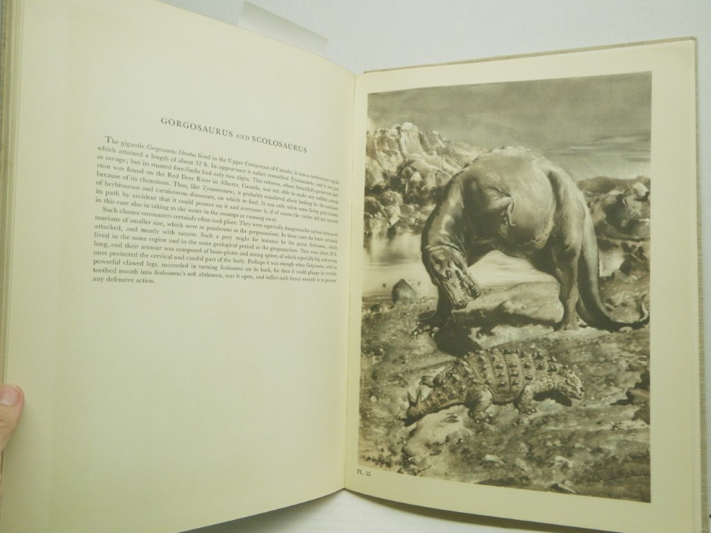 Image 3 of Prehistoric Animals