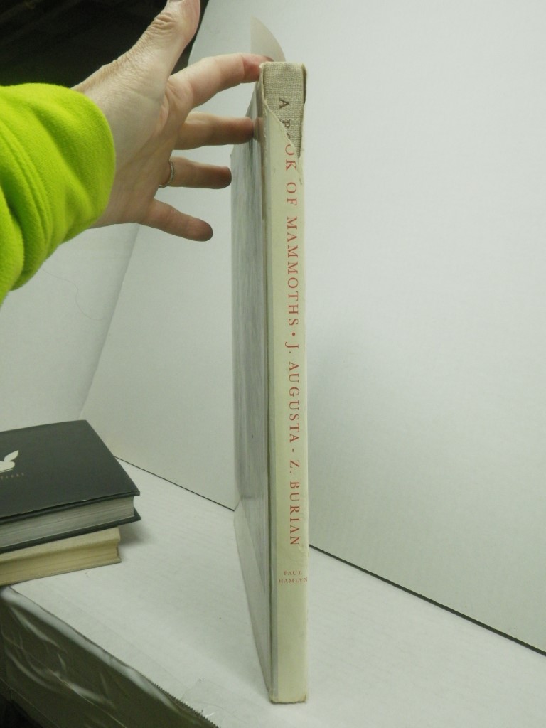 Image 1 of A Book of Mammoths