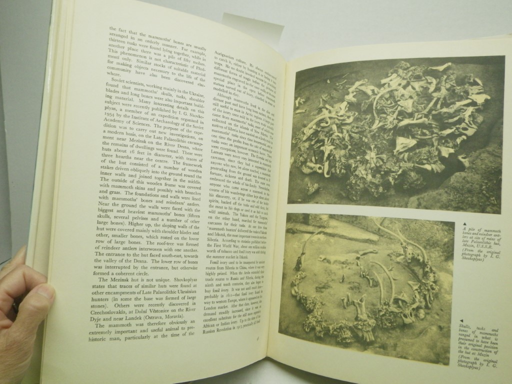 Image 3 of A Book of Mammoths