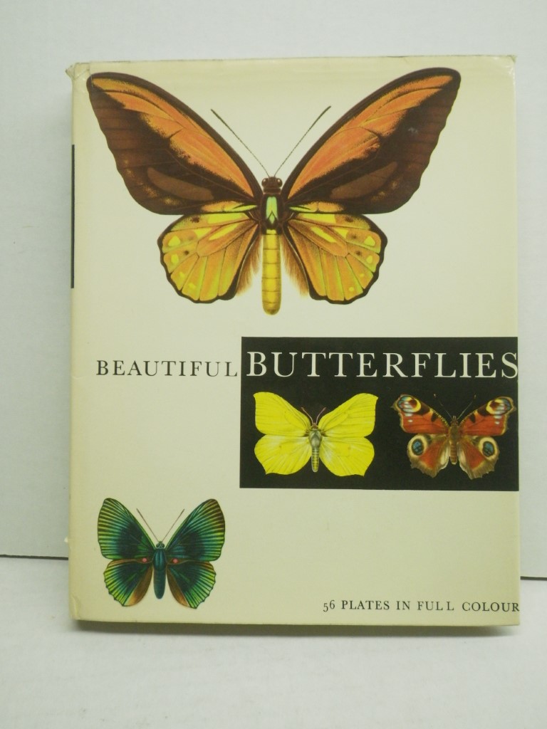 Beautiful Butterflies