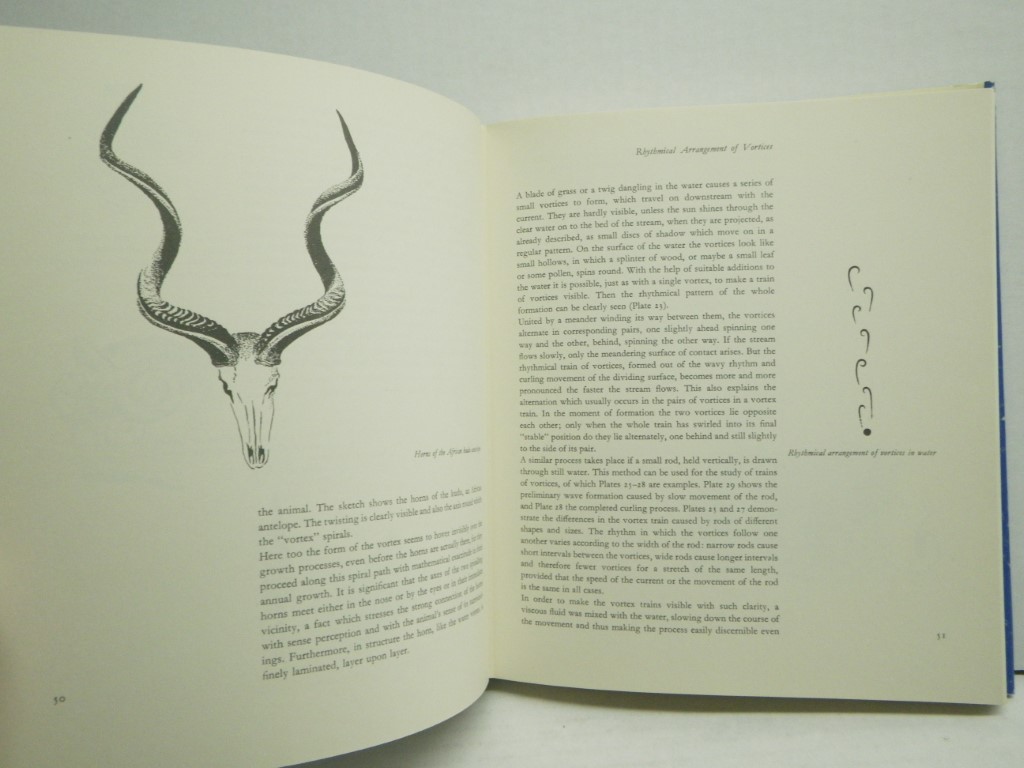 Image 3 of Sensitive Chaos: The Creation of Flowing Forms in Water and Air