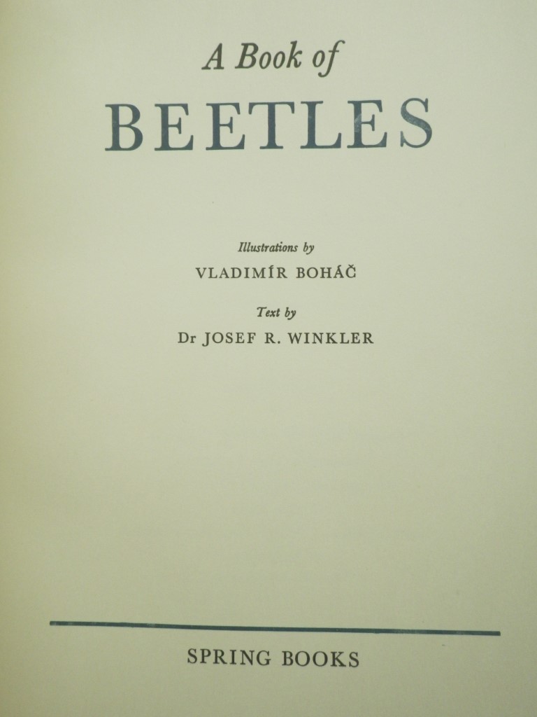 Image 1 of A Book of Beetles