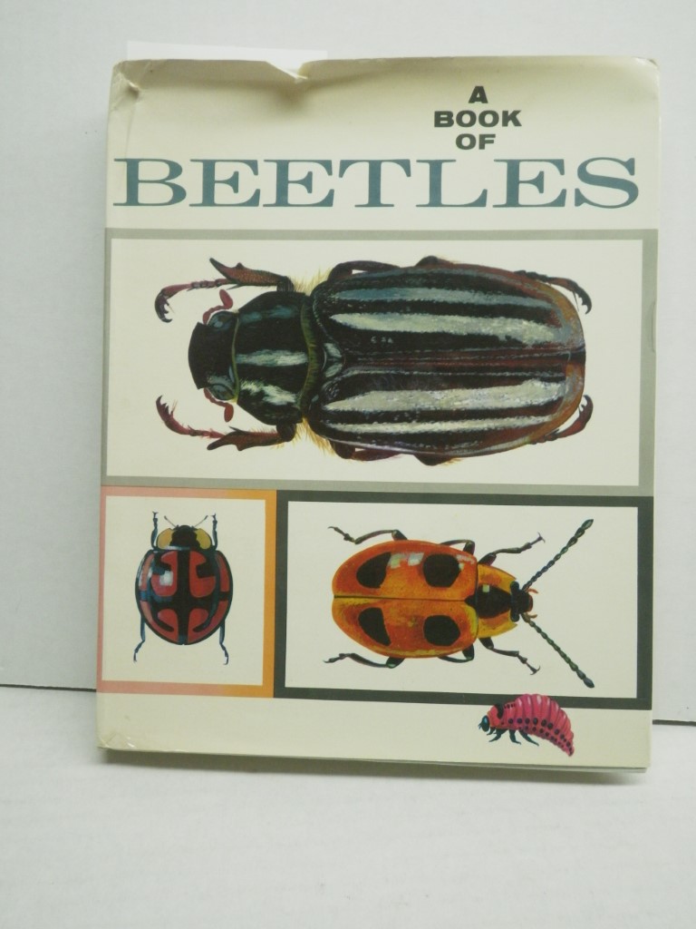 Image 0 of A Book of Beetles