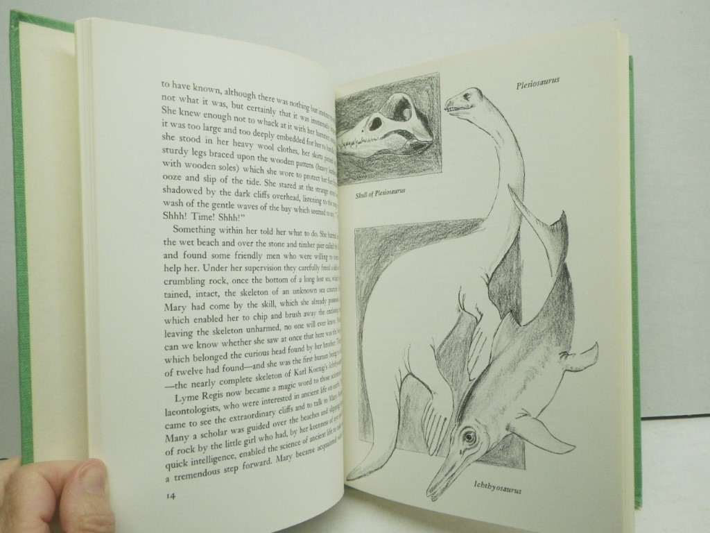 Image 3 of Famous Fossil Finds:  Great Discoveries in Palaeontology