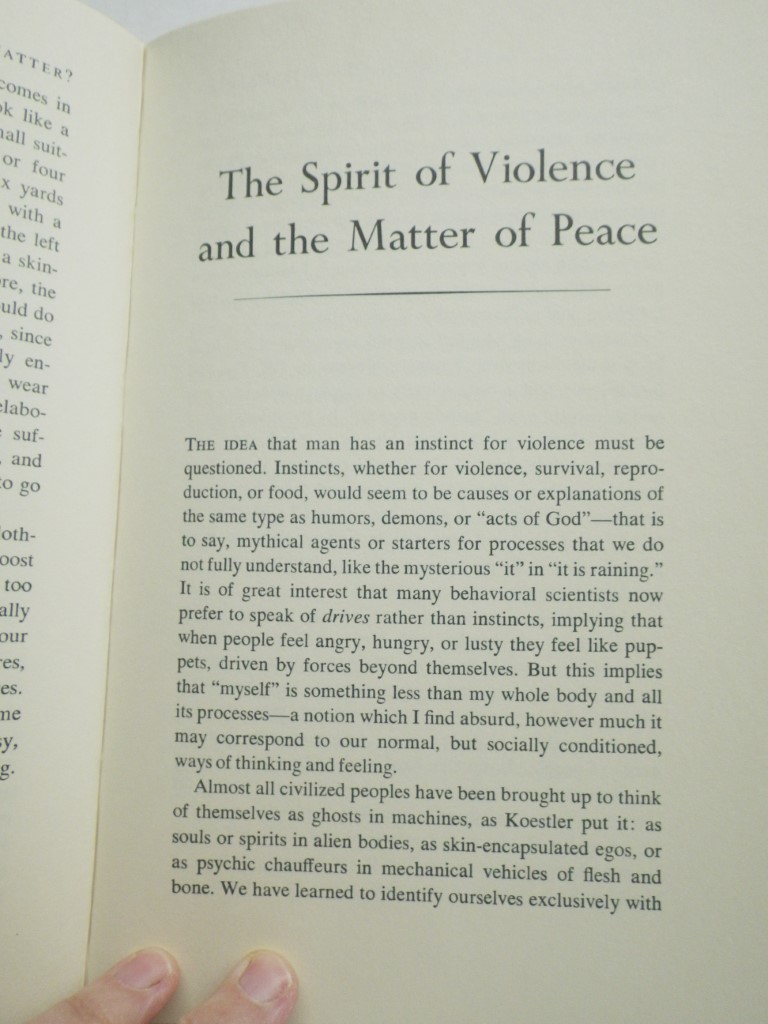 Image 3 of Does It Matter?  Essays on Man's Relation to Materiality