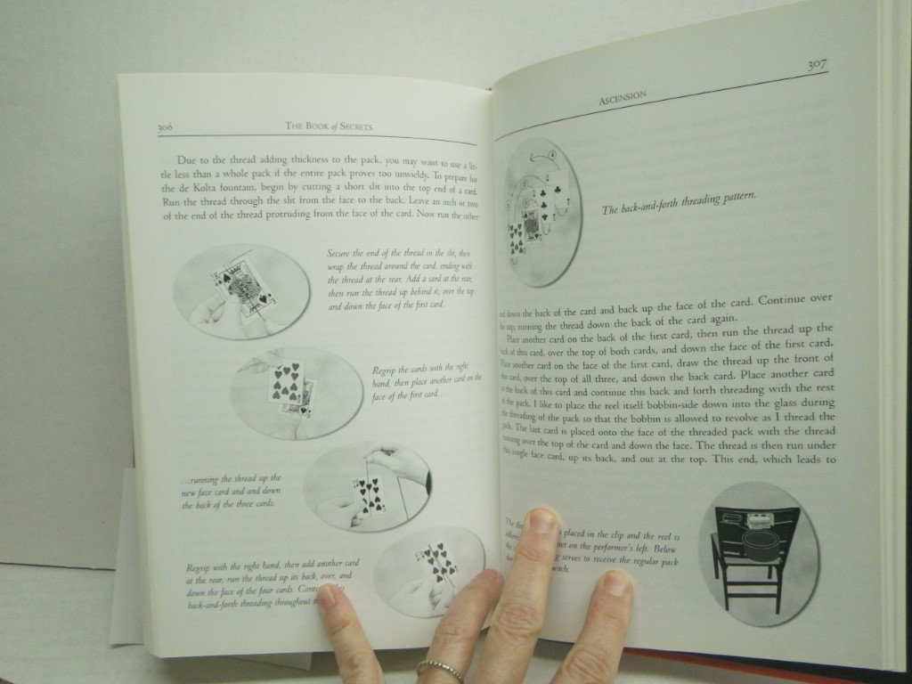 Image 4 of The Book of Secrets: Lessons for Progressive Conjuring
