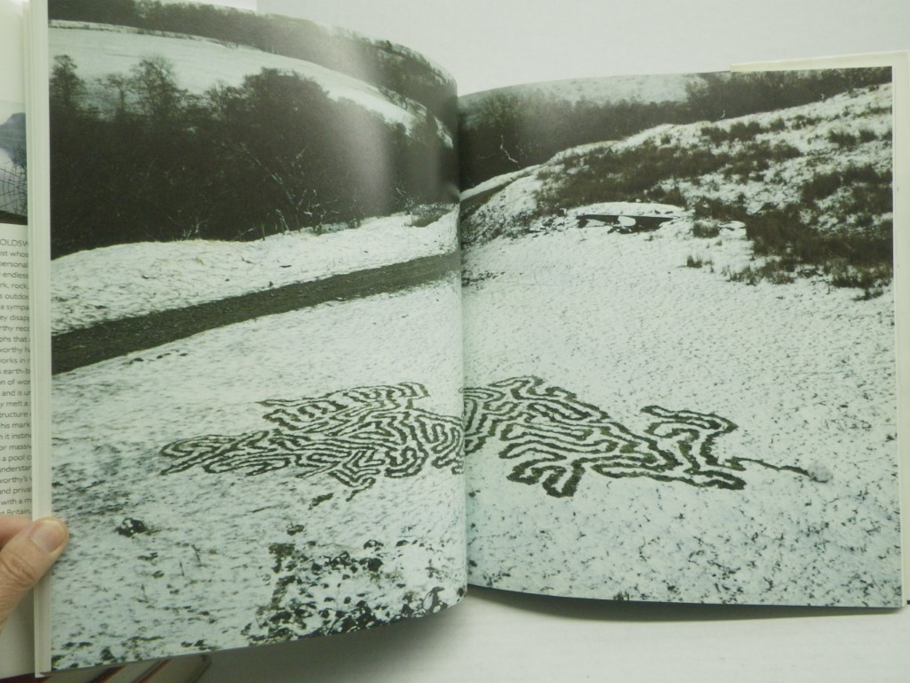 Image 2 of Andy Goldsworthy: A Collaboration with Nature