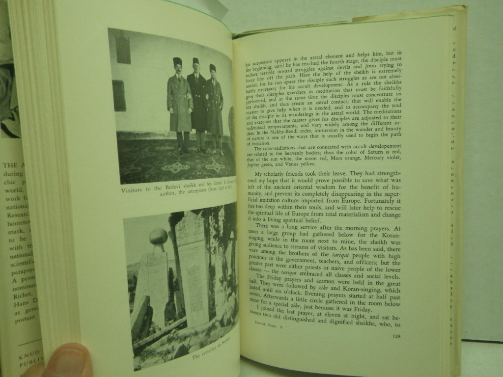Image 3 of Dervish Diary