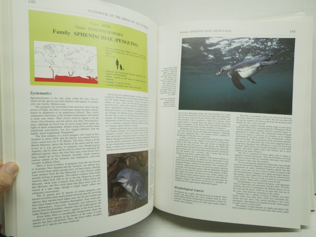 Image 4 of Handbook of the Birds of the World. Volume 1: Ostrich to Ducks (Handbooks of the