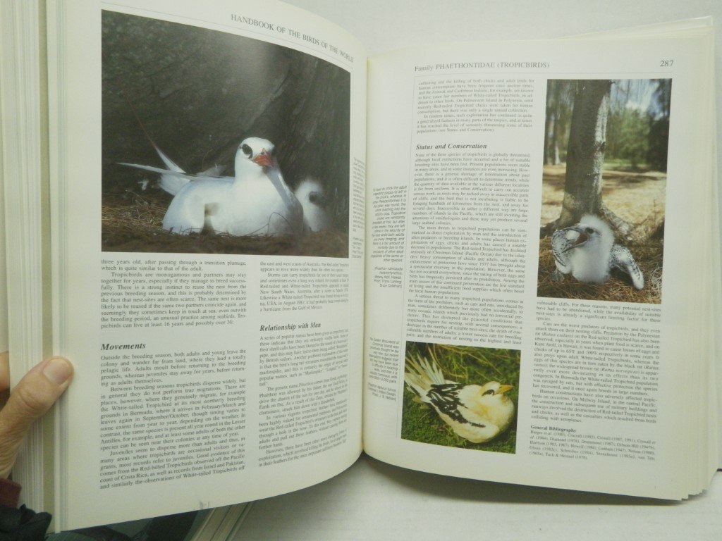 Image 5 of Handbook of the Birds of the World. Volume 1: Ostrich to Ducks (Handbooks of the