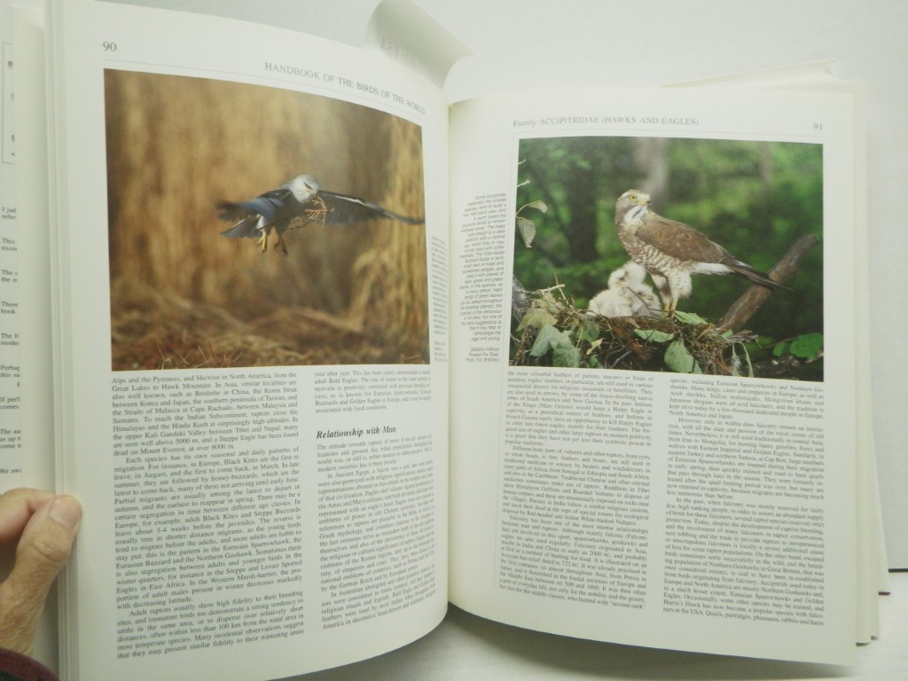 Image 4 of Handbook of the Birds of the World. Volume 2: New World Vultures to Guineafowl