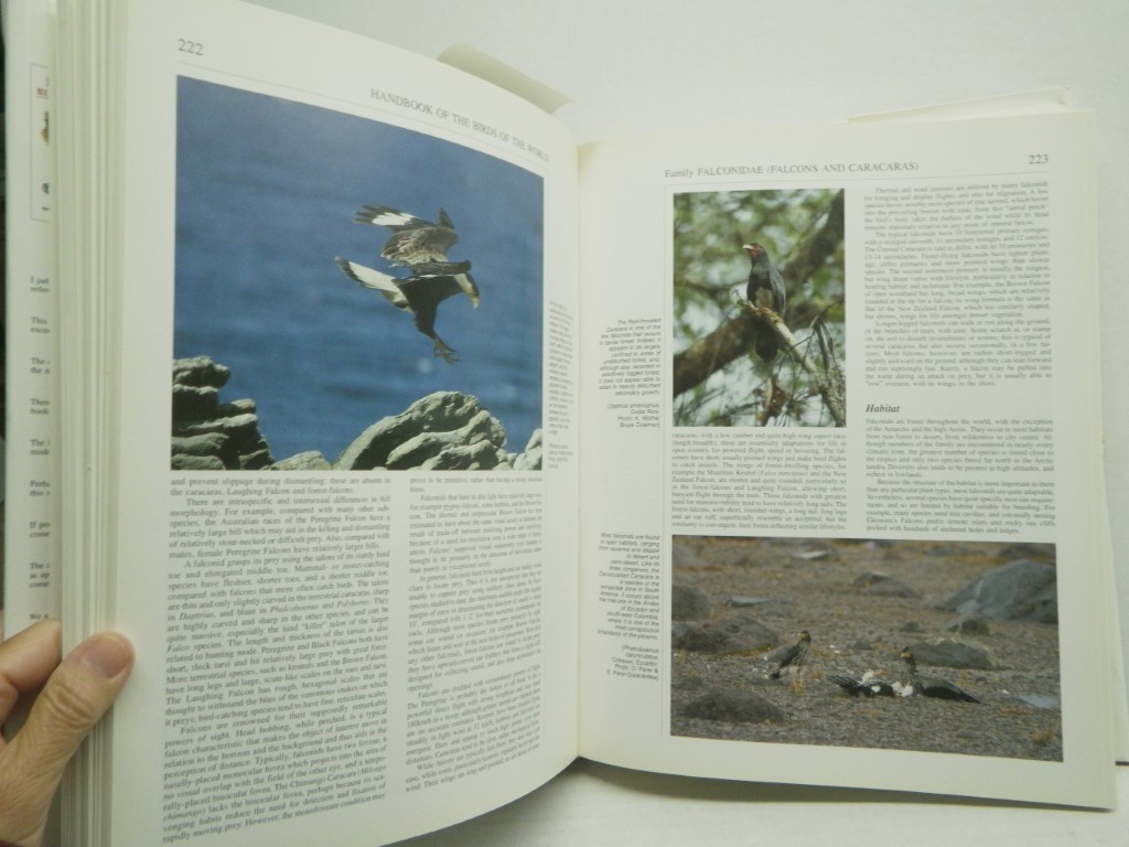 Image 5 of Handbook of the Birds of the World. Volume 2: New World Vultures to Guineafowl