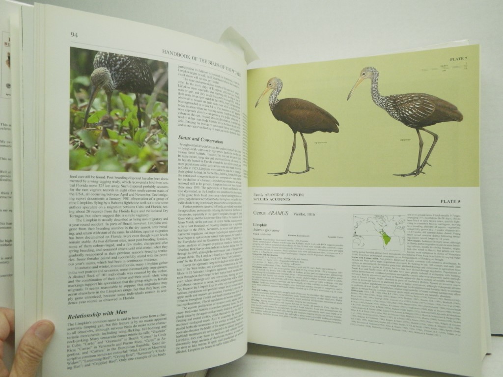 Image 3 of Handbook of the Birds of the World, Volume 3 (Hoatzin to Auks)