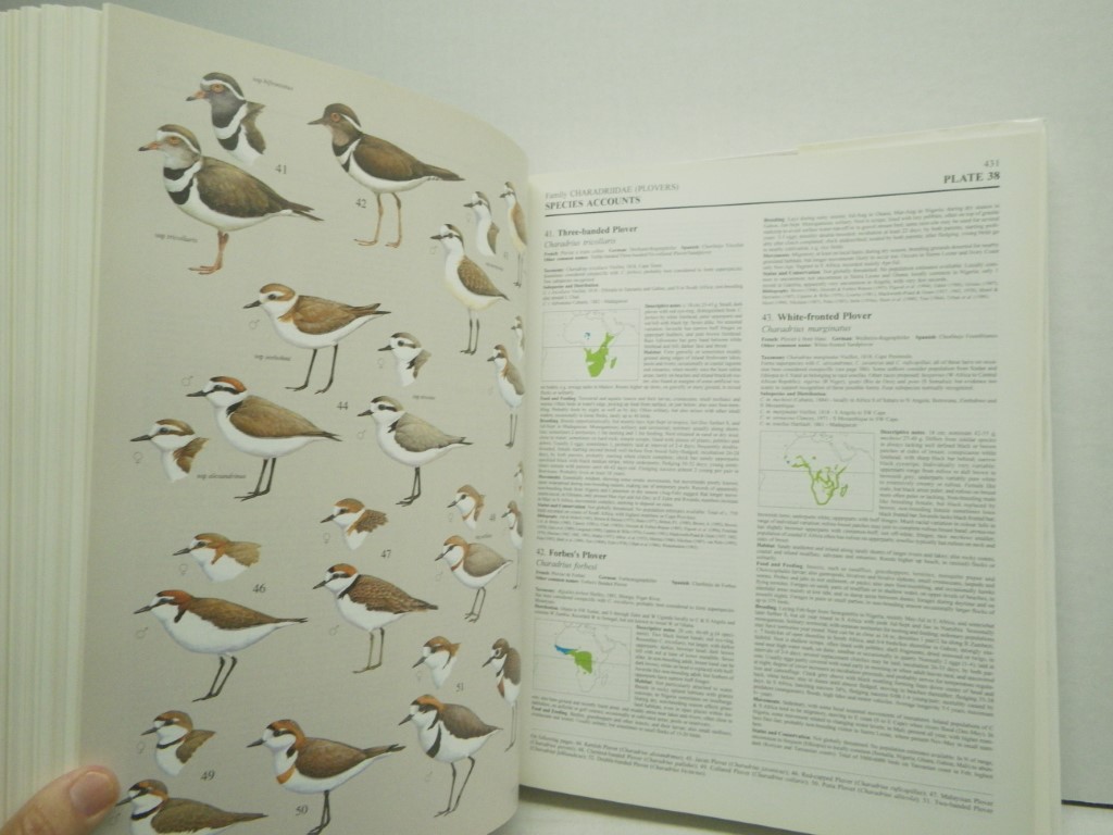 Image 4 of Handbook of the Birds of the World, Volume 3 (Hoatzin to Auks)
