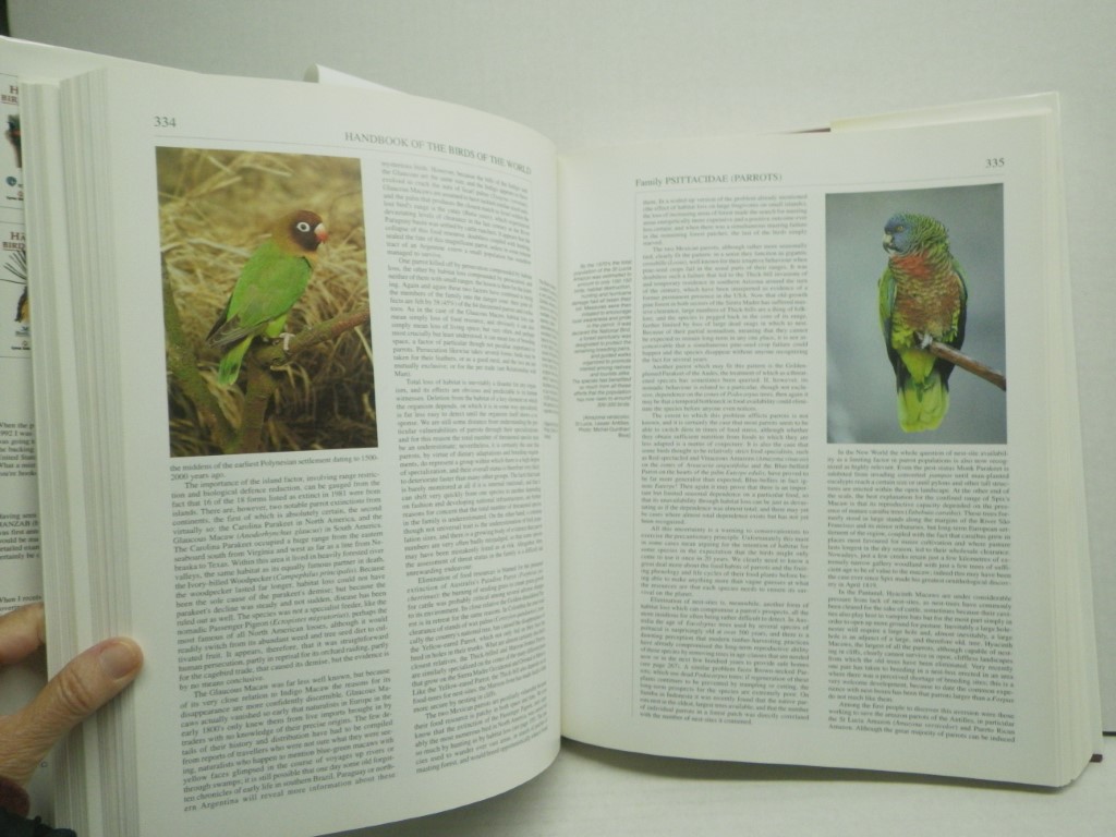 Image 3 of Handbook of the Birds of the World. Volume 4: Sandgrouse to Cuckoos (Handbooks o