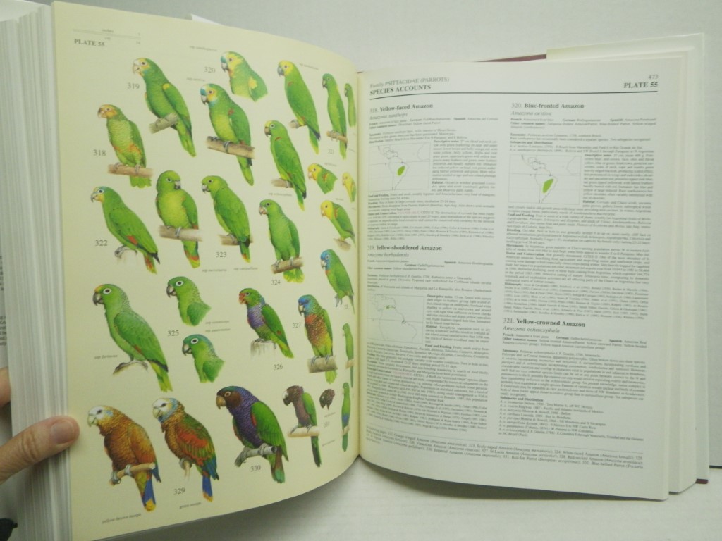 Image 4 of Handbook of the Birds of the World. Volume 4: Sandgrouse to Cuckoos (Handbooks o